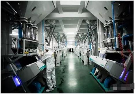 高薪难求 工厂招工困境背后的经济信息咨询解读