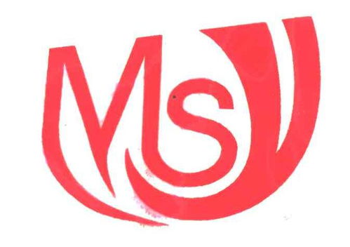 MSY商标注册查询与成功率分析指南
